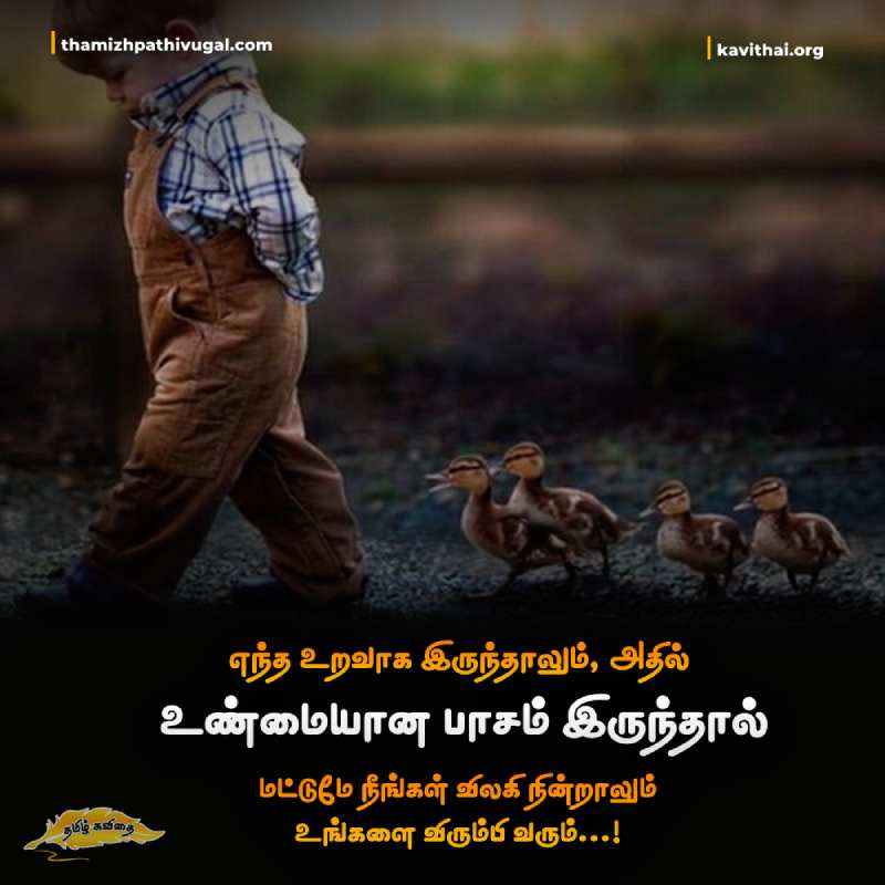 kadhal kavithaigal | Best love quotes in tamil