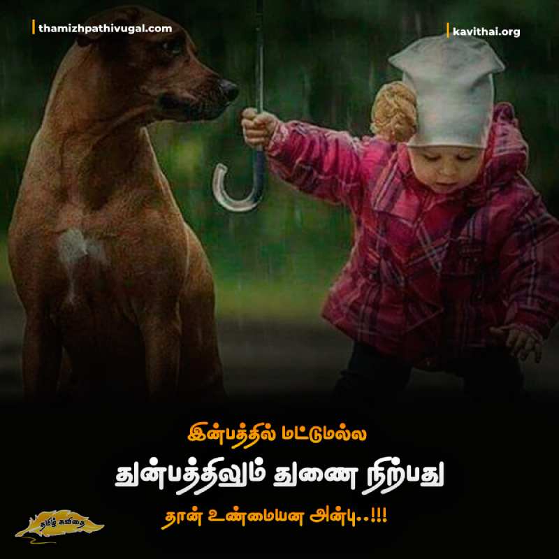 kadhal kavithaigal | Best love quotes in tamil