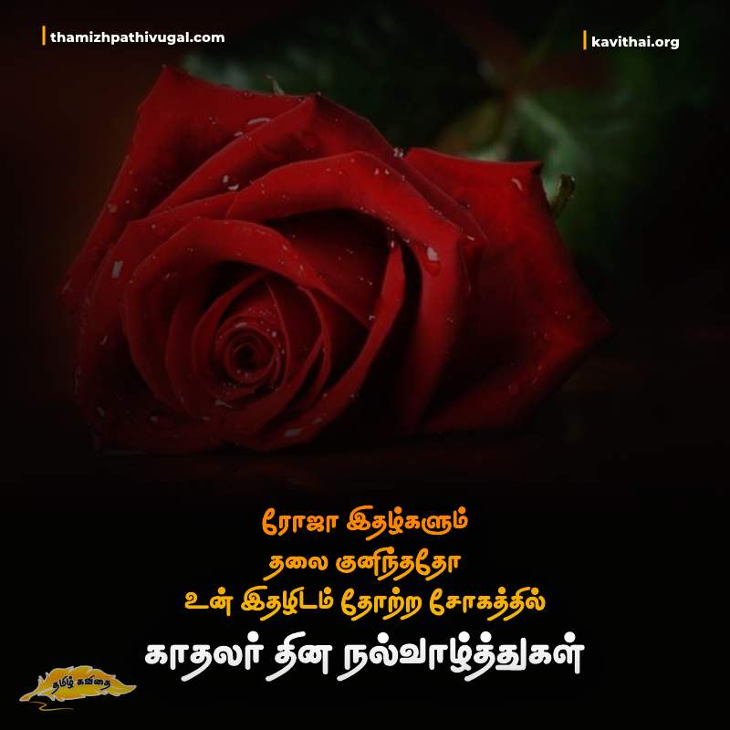 kadhal kavithaigal | Best love quotes in tamil